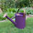 Metal Watering Can-75050054