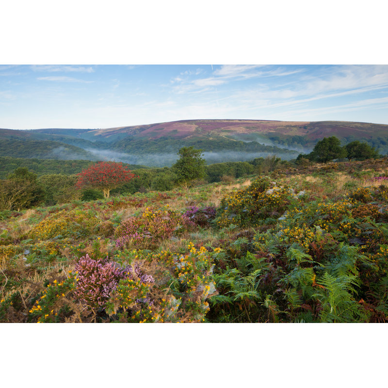 Quantock Hills par Esentunar - Photographie sur toile tendue, H 8 po x l 12 po