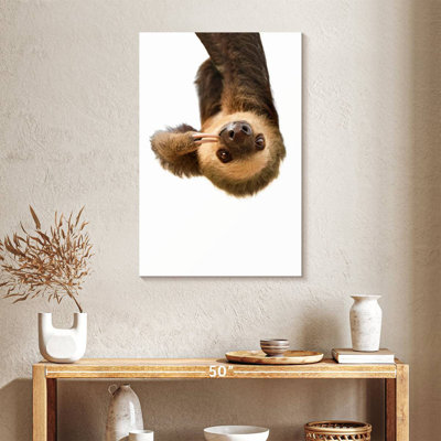 Brampt Silly Sloth