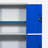 Multi-functional Large Capacity Garage Lockers