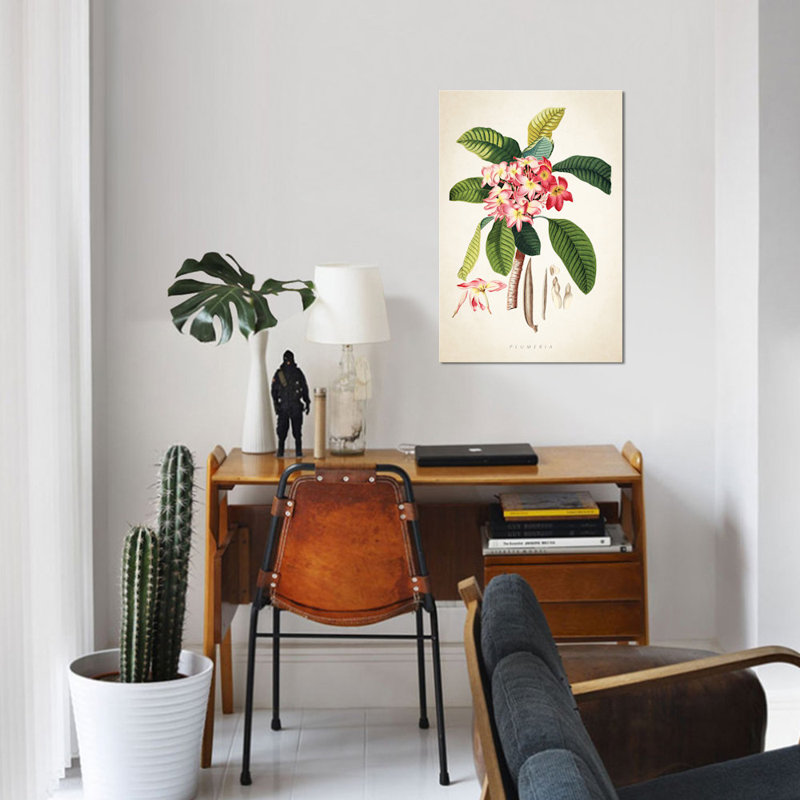 «Plumeria Botanical Print», impression sur toile, H 60 po x l 40po x P 1,5 po, Toile tendue, Pas de tapis