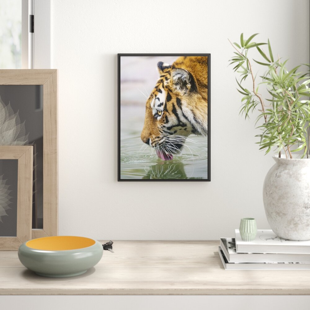 Gerahmtes Wandbild Tiger am Wasserloch