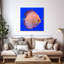 Poissons discus exotiques Brampt-109114483