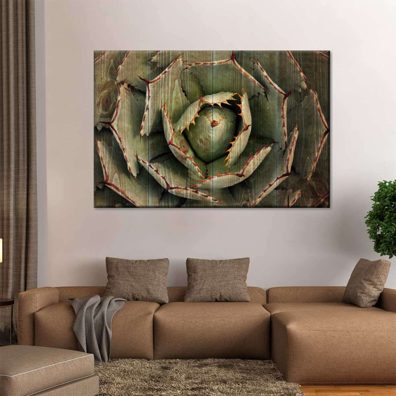 «Wooden Succulents», reproduction sur toile, H 24 po x l 36 po x P 1,25 po