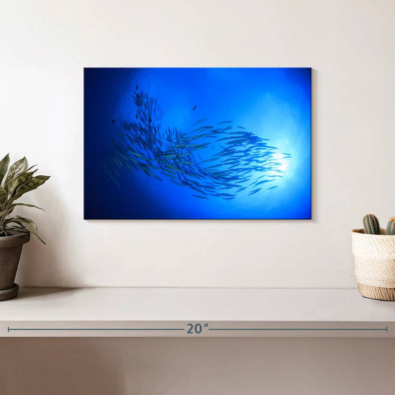 Aletra Sunrise Barracuda poisson, H 8 po x l 12 po