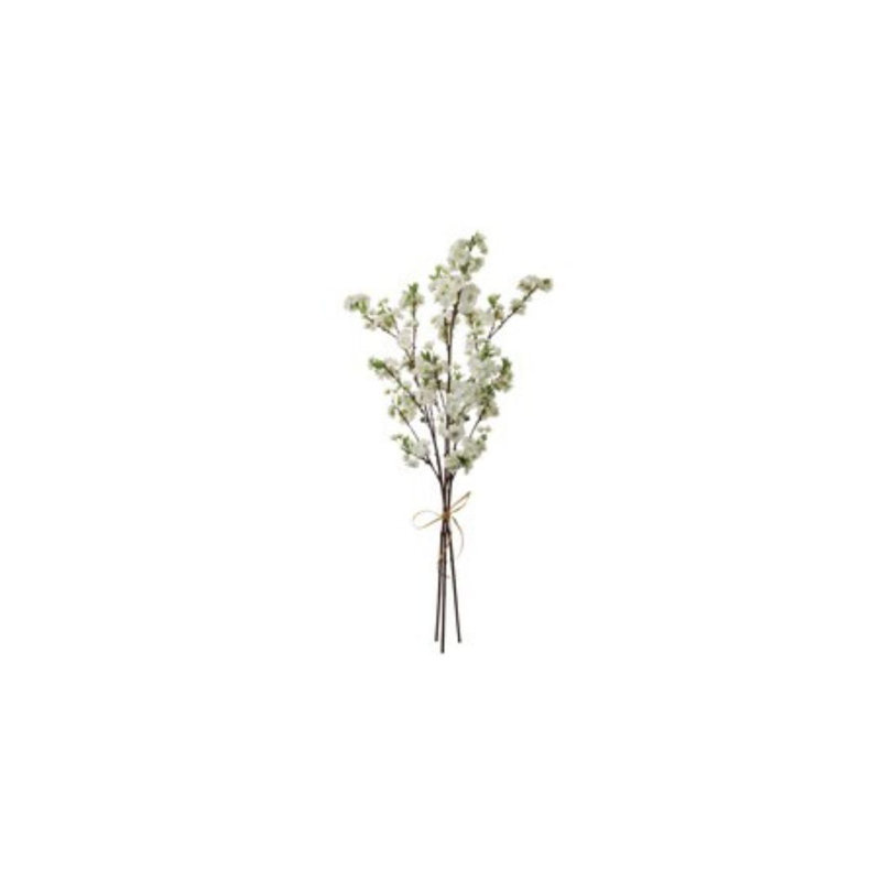 Arrangement de fleurs de cerisier