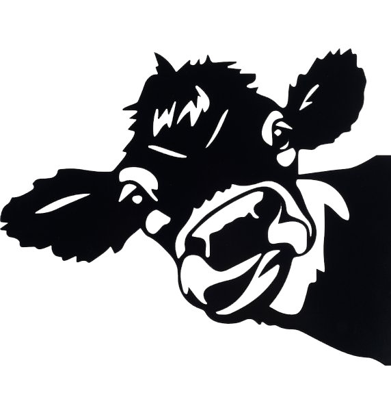 Cow Wall Décor