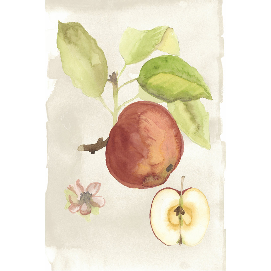 Leinwandbild Watercolour Fruit IV von Naomi McCavitt