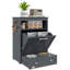 Petique Anti-Skid Slow Feeder