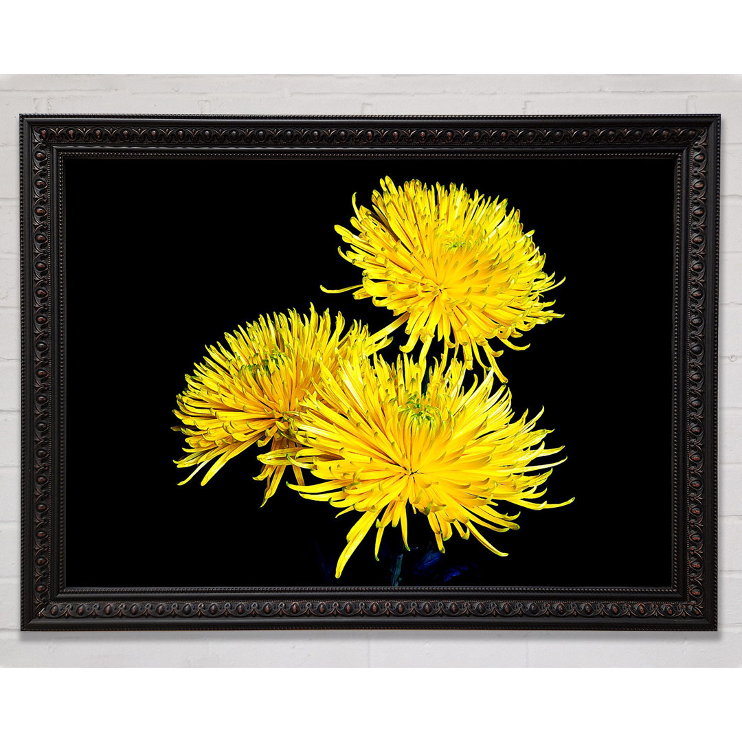 Dandelion Delight - Druck