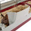 Rabbit Cage-65640382