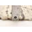 Sienna Ivory Rug 5'2" x 7'8"
