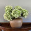 Real Touch Hydrangea Faux Floral-2066171874-2066171878