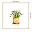 Impression sur bois encadrée «Pots Botanicals II» par Marcy Chapman-1668989291
