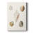 Pastel Knorr Shells IX -Custom Wrapped Gallery Cavas-988257077