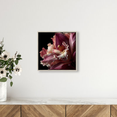 Velvet Labellum Graphic Art Canvas