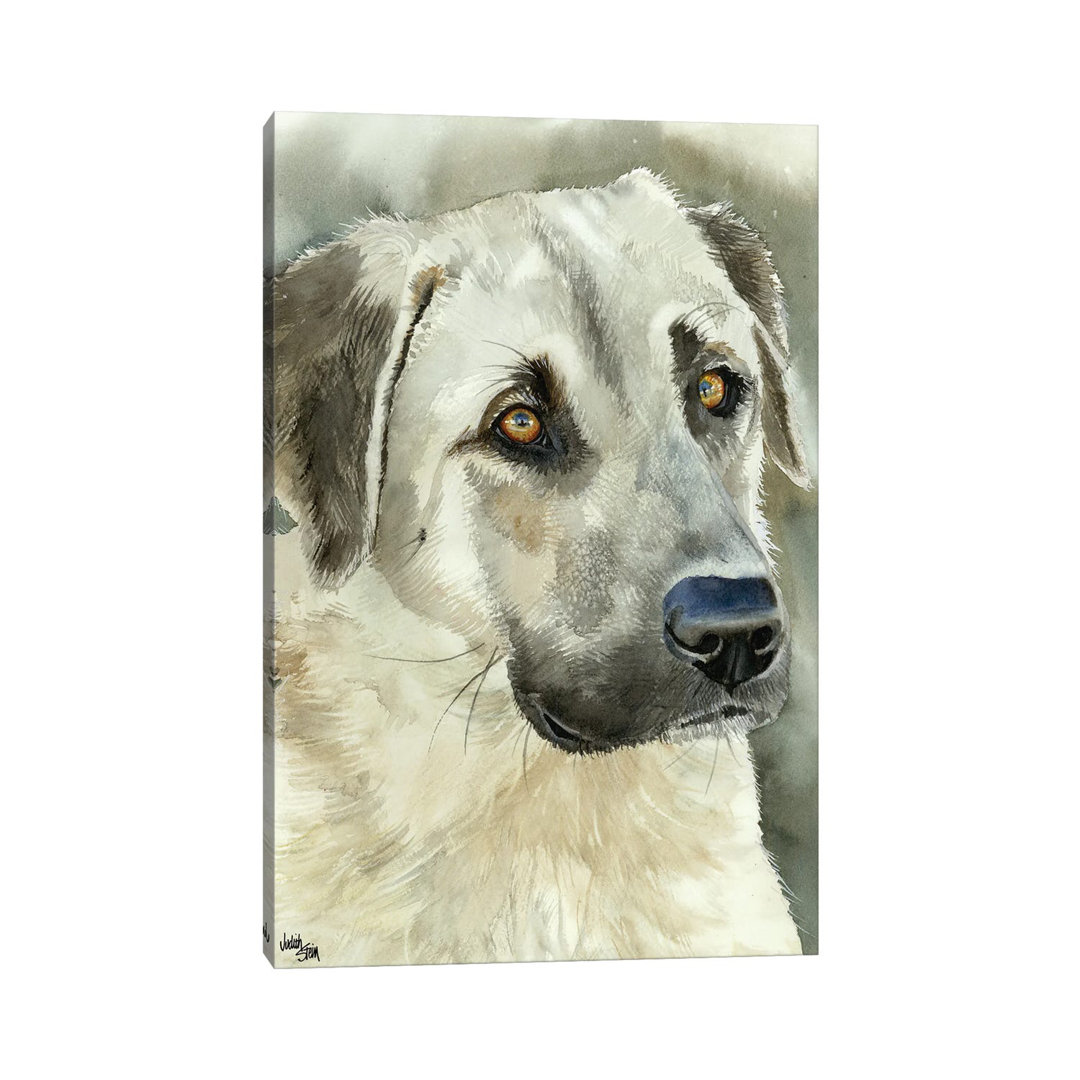 Shepherd's Guardian - Anatolian Shepherd by Judith Stein - Wrapped Canvas Painting