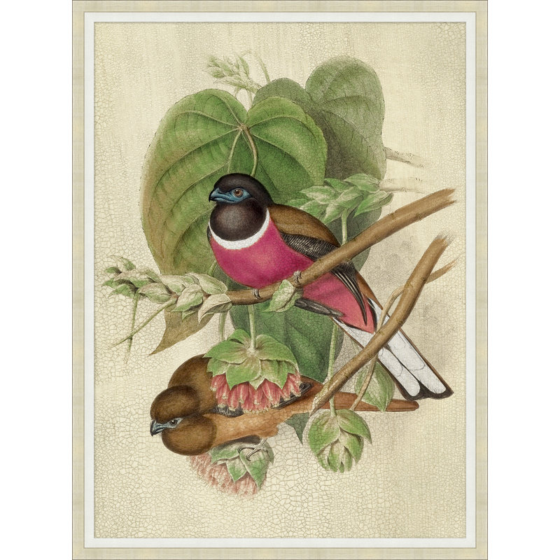 Oiseaux rouges 2 - Peinture encadrée sur papier