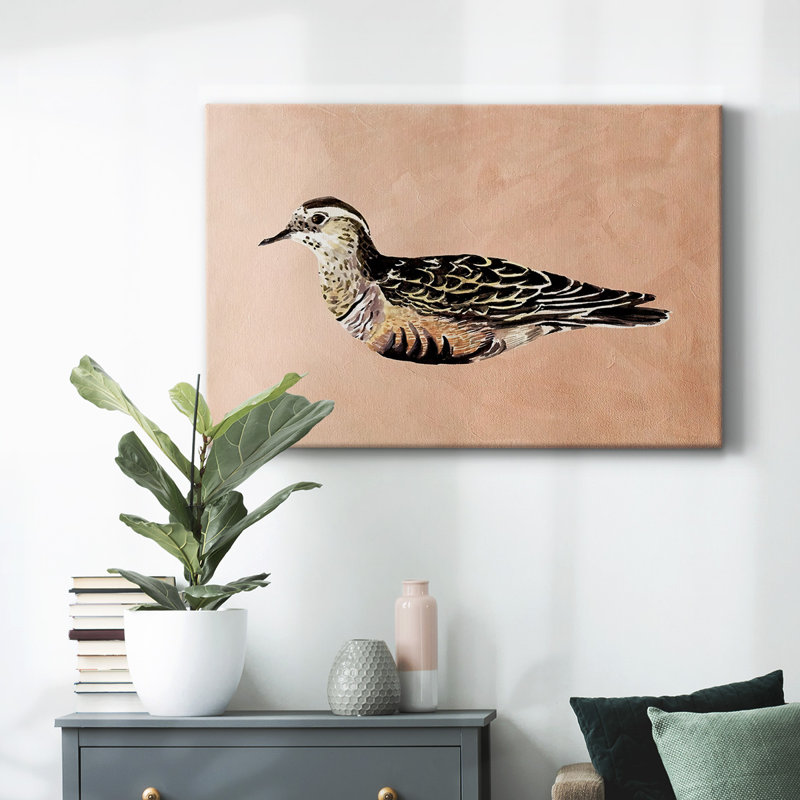 Toile tendue Feathered Friend III-Gallery, H 12 po x l 18 po