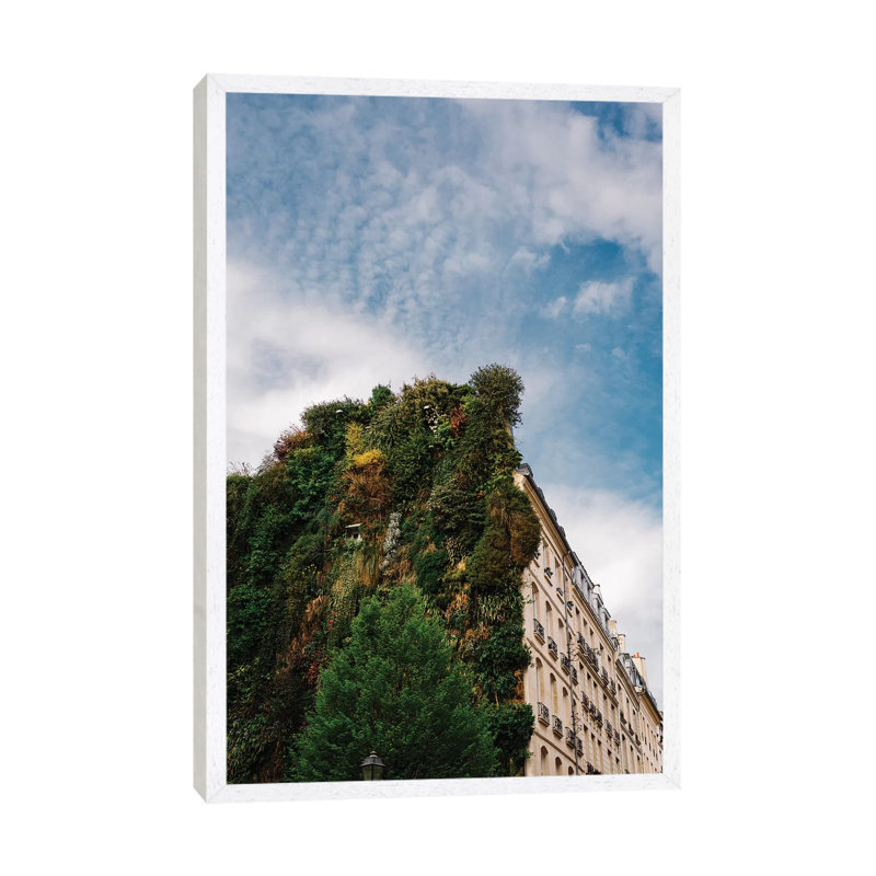 Parisian Vertical Garden by Bethany Young - Print on Canvas, White Framed, 66.04cm H x 45.72cm W x 3.81cm D