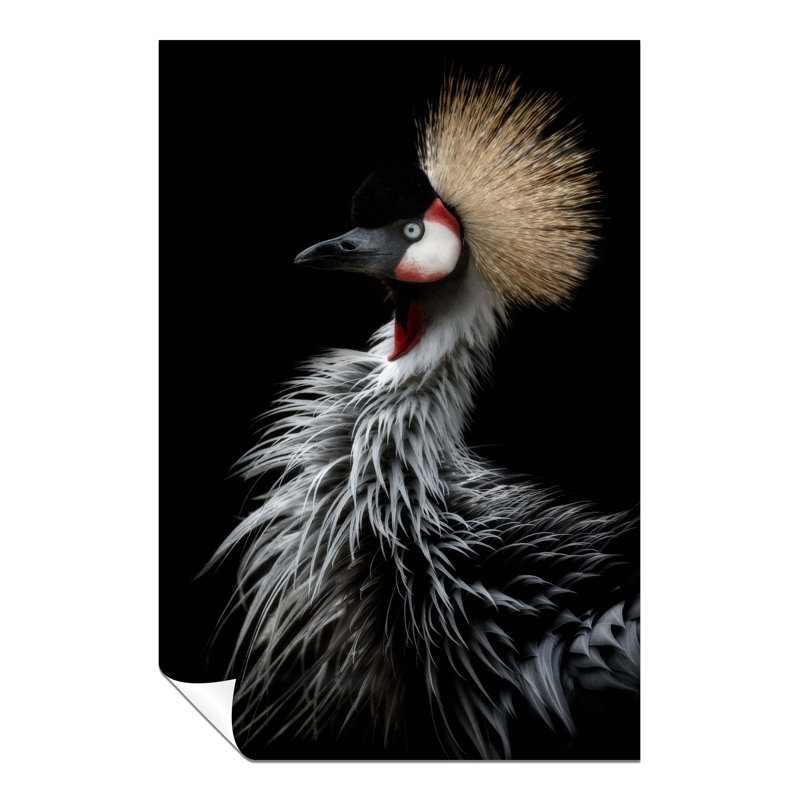 Grey Crowned Crane's Portrait - No Frame Print, 91cm H x 61cm W x 1cm D