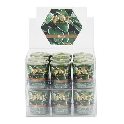 Bougie votive Hosta