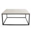 Anna Frame Coffee Table-22864560