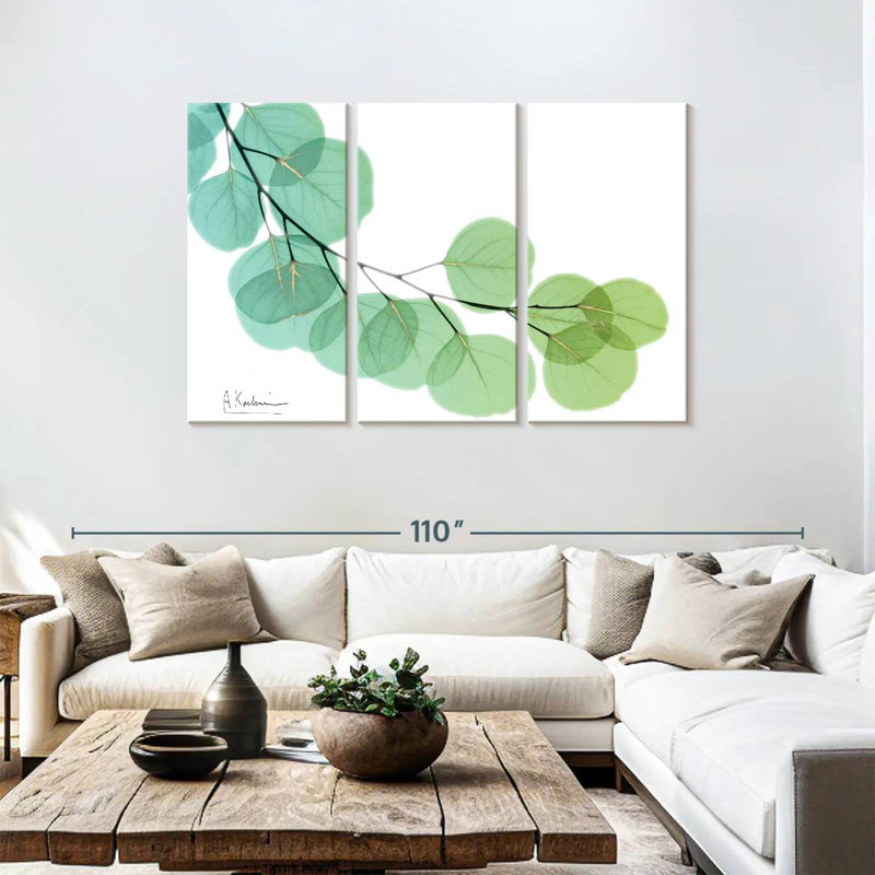 Eucalyptus doré Harnek, H 48 po x l 74 po