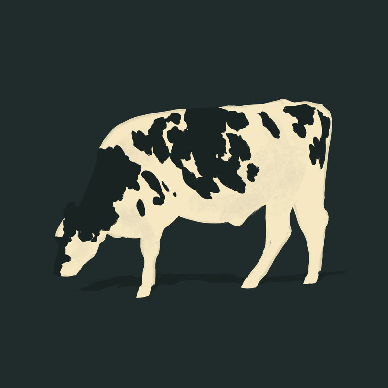 Refined Holstein VI by Jacob Green - Wrapped Canvas Painting, 91cm H x 91cm W