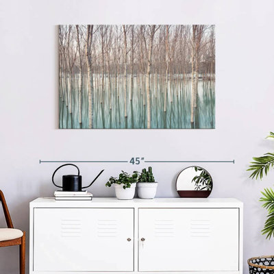 Harnek Ticino River Birch Trees