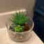 Customer photo 1 of 2