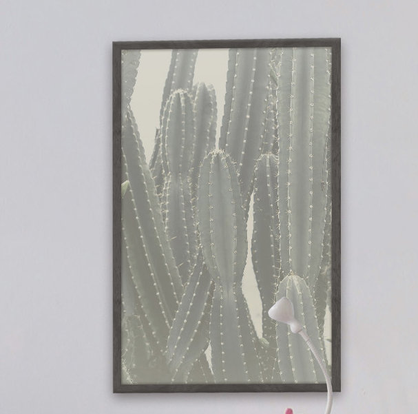 Tall Cactus - Single Picture Frame Print, 61 cm H x 41 cm W