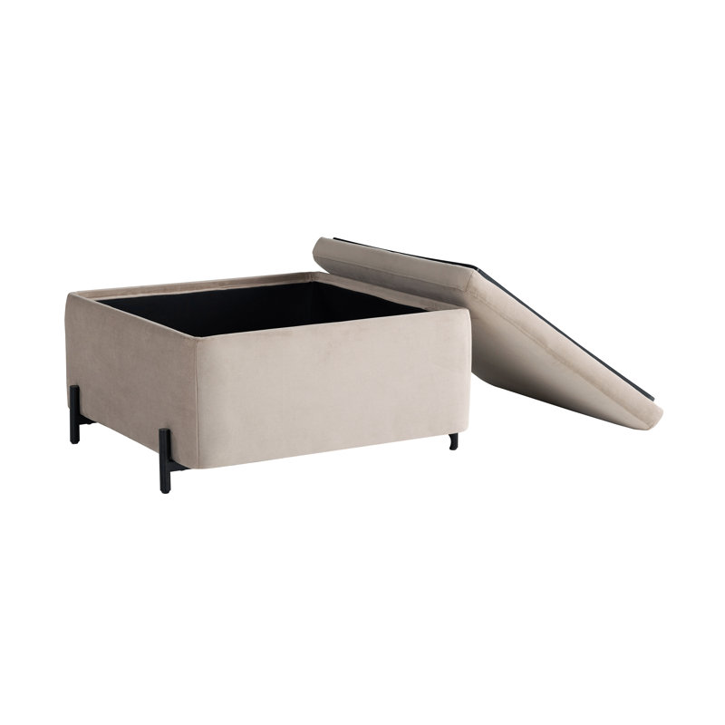 Grand repose-pieds avec rangement 31,1 po Delton, Taupe