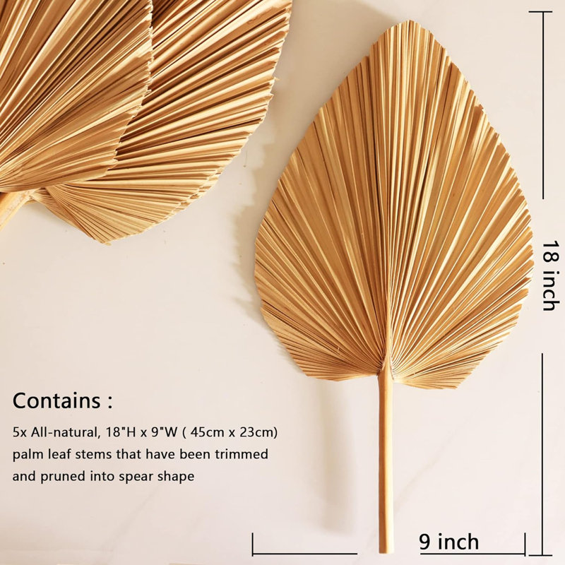 5pcs 18" Dried Palm Leaves