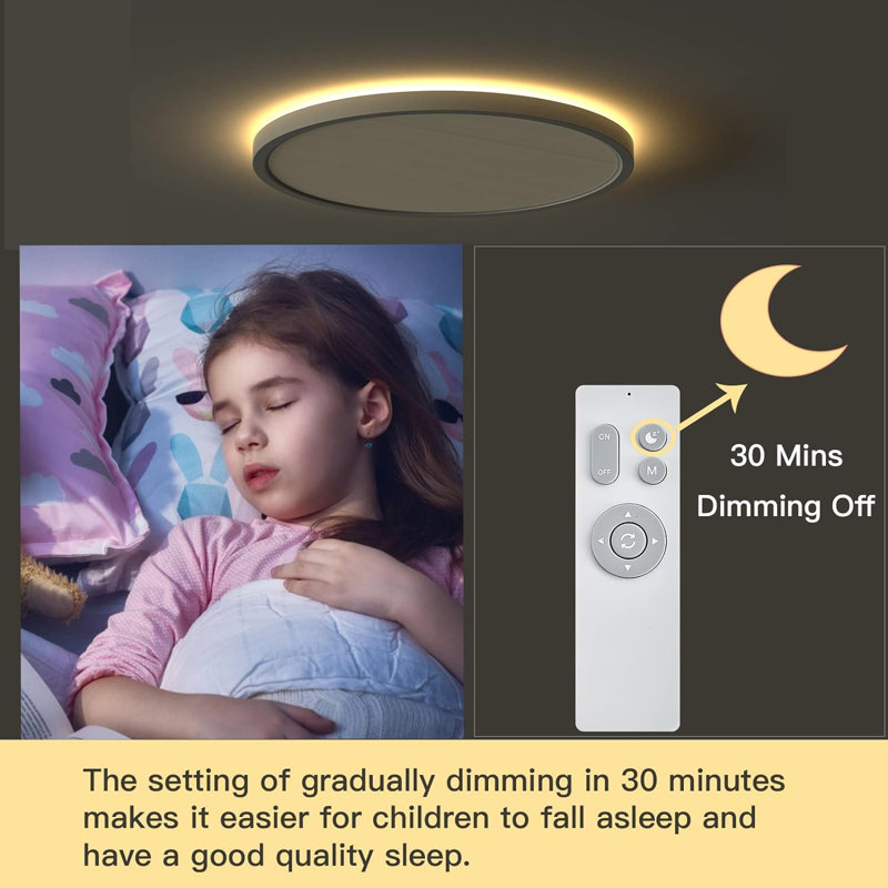 Flush Mount Ceiling Light Fixture 2 Pack With Remote Control, Nightlight Warm 3000K, 12Inch 28W Round Modern Ceiling Light, 3 Light Color Changeables, Brightness(10% To 100%) Adjustable