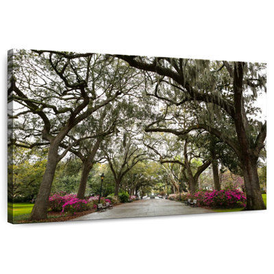 Sireci Forsyth Park