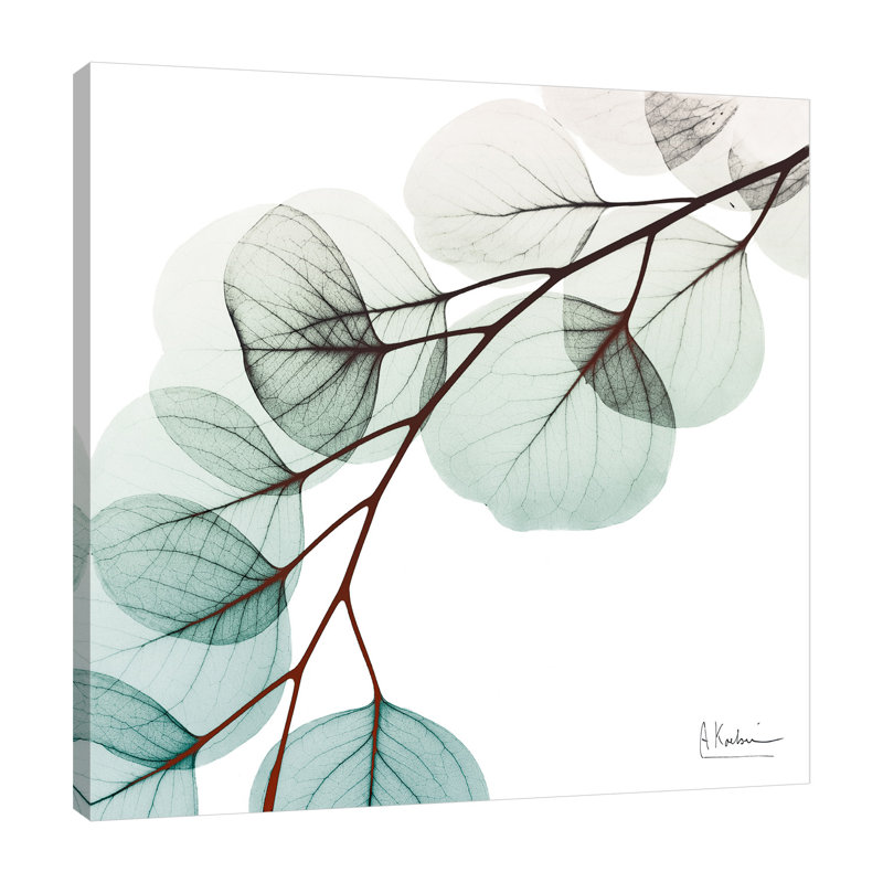 «Extravagant Eucalyptus 1», toile tendue par Albert Koetsier, H 24 po x l 24 po x P 1,5 po