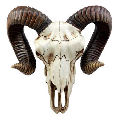 - Ram Skull