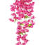 Bougainvillea Spray-1658846093