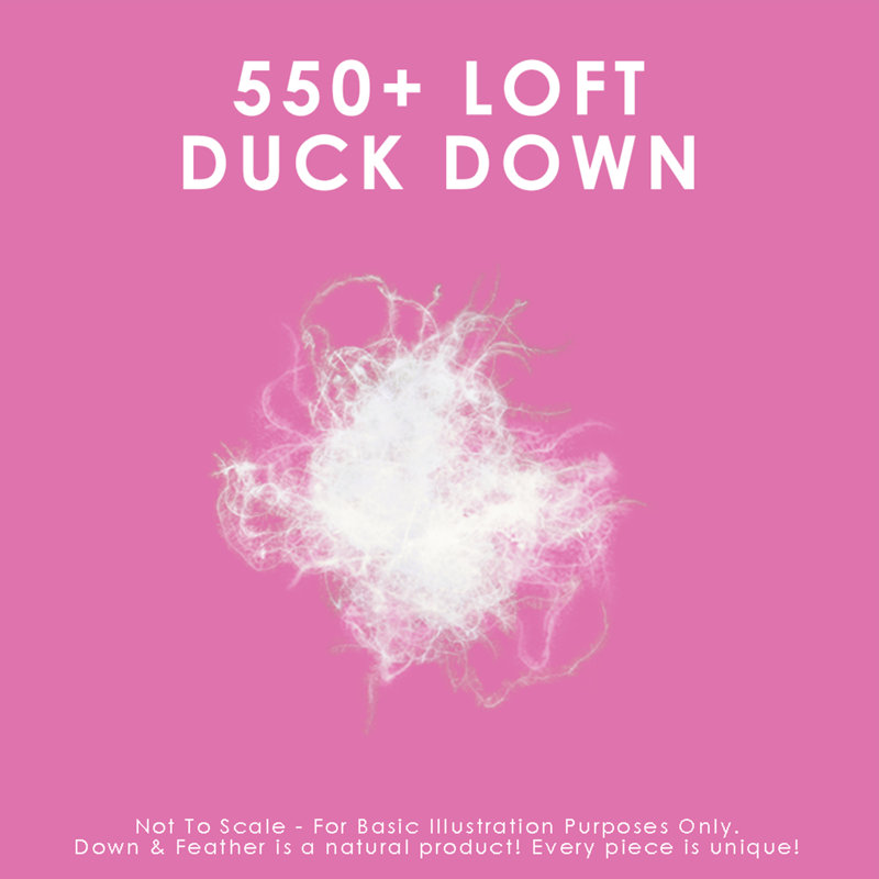 Twin Size White Cotton Duck Down Comforter