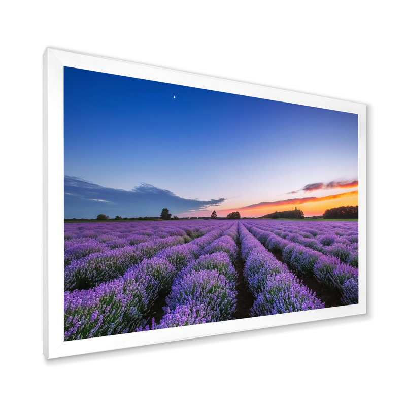 «Sunrise & Dramatic Clouds Over Lavender Field I», reproduction d'art sur toile, H 12 po x l 20 po x p 1 po, Blanc