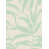 Beige/Green