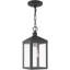 Luminaire extérieur lanterne 6,25 po avec abat-jour en verre transparent-101230688