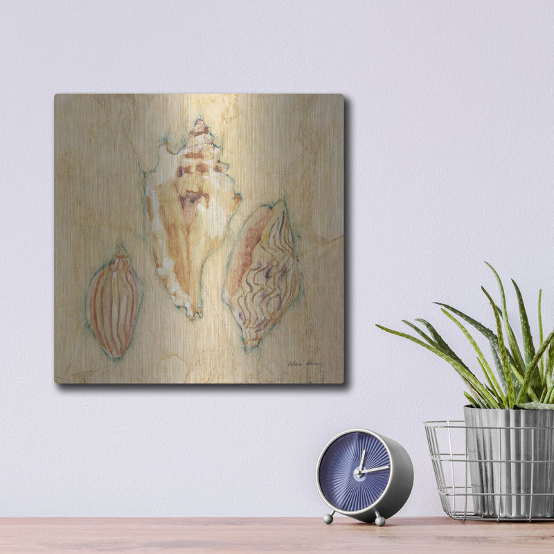 «Shells 1» par Cheri Blum, art mural en métal, H 12 po x l 12 po