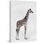 «Tall Tall Giraffe II» par Aldiana, reproduction sur toile tendue-342207859