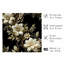 «Floral Victorian Floral Dream III», reproduction d'art classique sans cadre-169491026