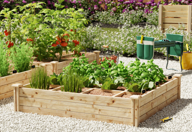 Raised Garden Beds You'll Love
