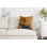 Housse de coussin d'intérieur Crystal Fashion
