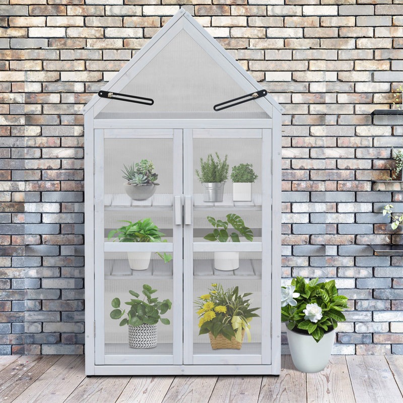 Wood Outdoor Plant Stand, Garden Cold Frame Greenhouse Flower Planter With Adjustable Shelves, Double Doors