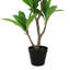Plumeria artificiel 27 po en pot